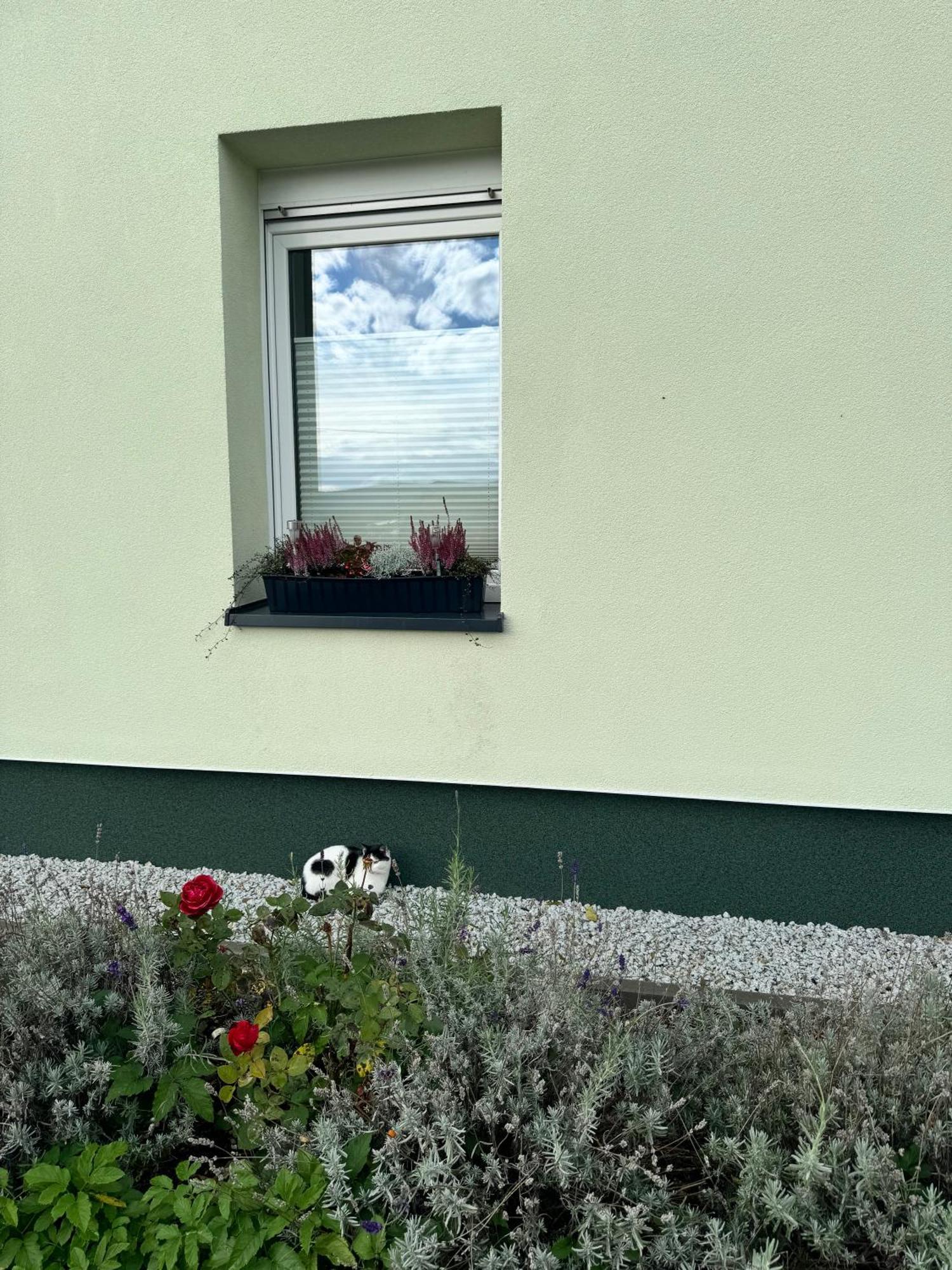 Ferienwohnung Viridi Radomierz Exterior foto